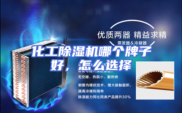化工除湿机哪个牌子好，怎么选择