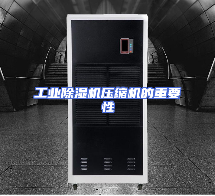 工业除湿机压缩机的重要性