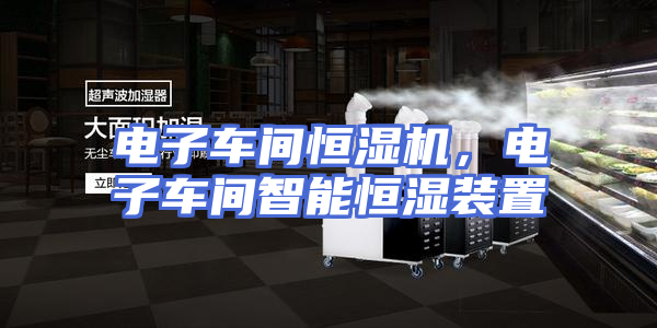 电子车间恒湿机，电子车间智能恒湿装置