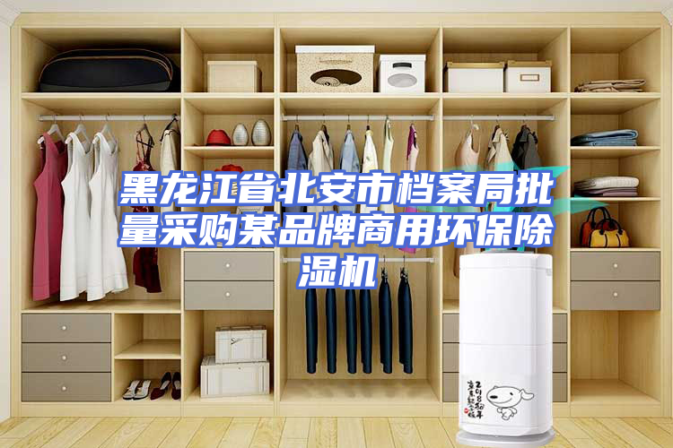 黑龙江省北安市档案局批量采购某品牌商用环保除湿机