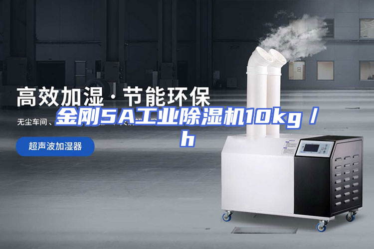 金刚5A工业除湿机10kg／h