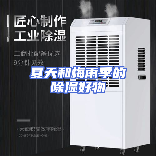 夏天和梅雨季的除湿好物