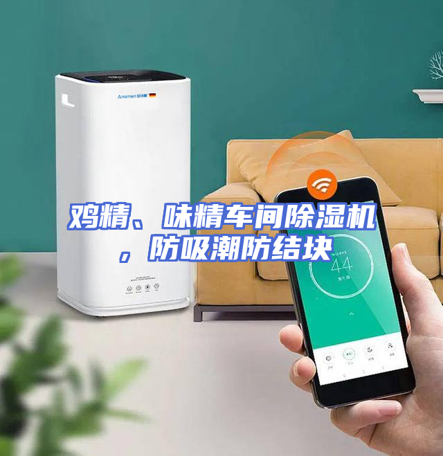 鸡精、味精车间除湿机，防吸潮防结块
