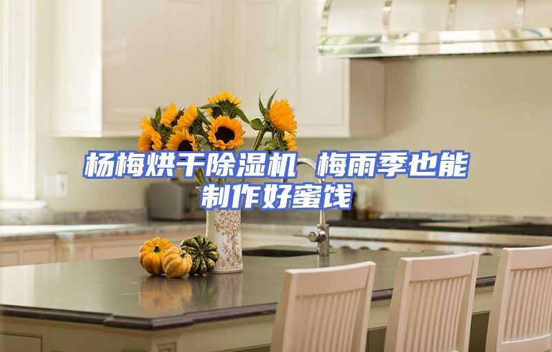 杨梅烘干除湿机 梅雨季也能制作好蜜饯