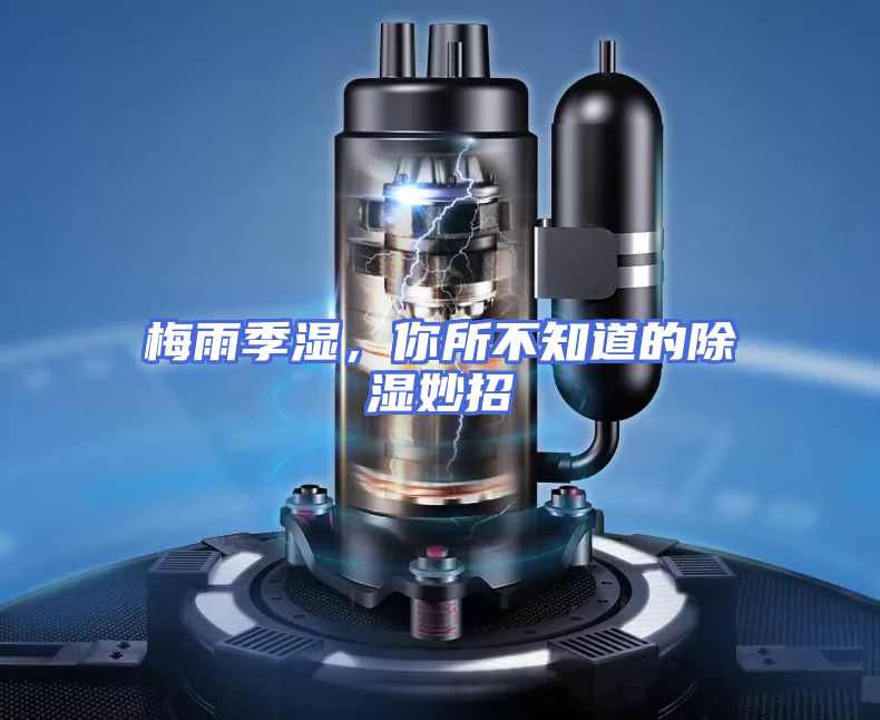 梅雨季湿，你所不知道的除湿妙招