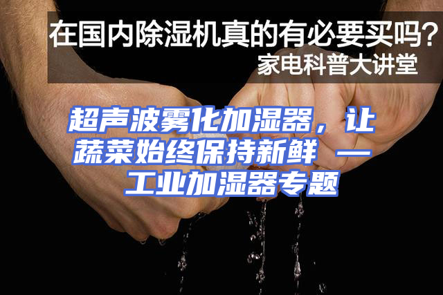 超声波雾化加湿器，让蔬菜始终保持新鲜 — 工业加湿器专题