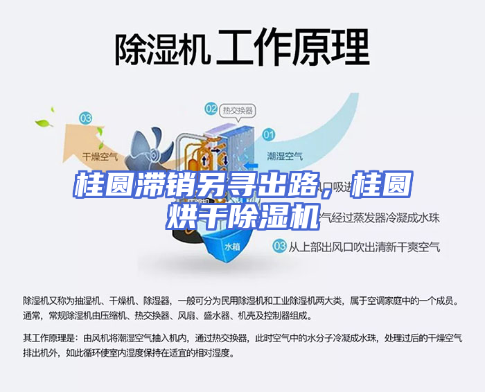 桂圆滞销另寻出路，桂圆烘干除湿机