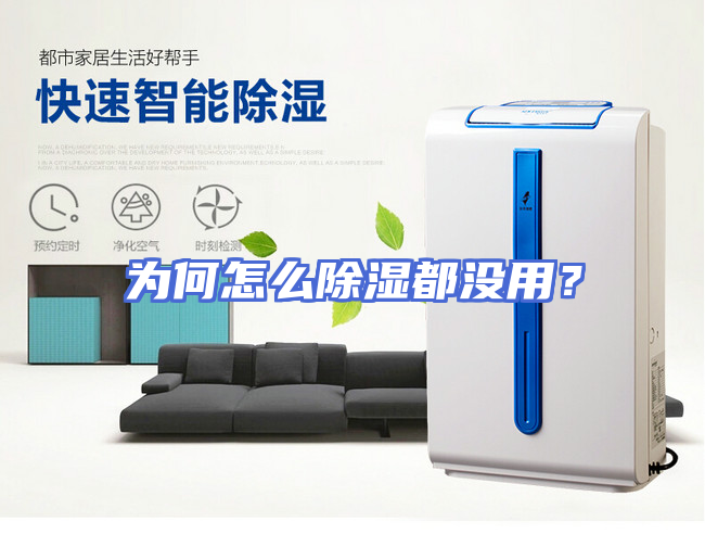 为何怎么除湿都没用？
