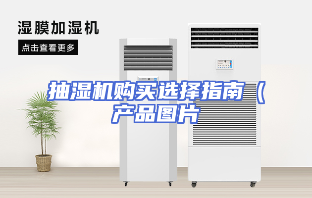 抽湿机购买选择指南（产品图片