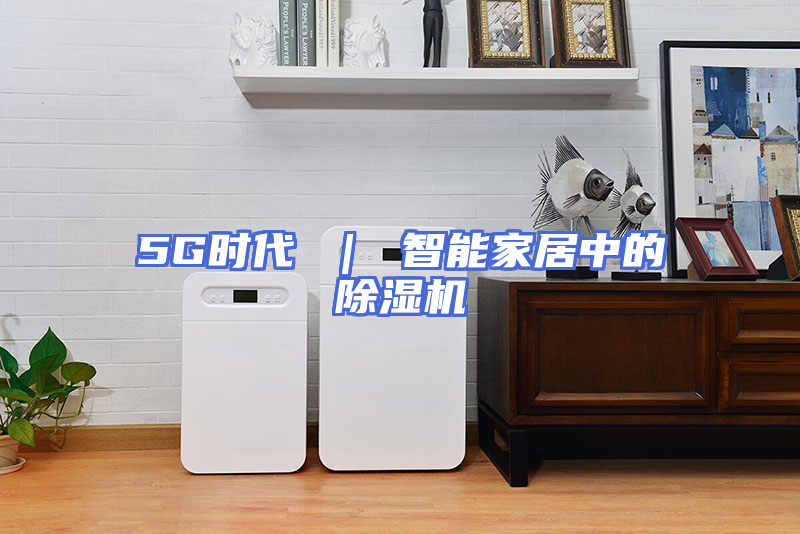 5G时代 ｜ 智能家居中的除湿机
