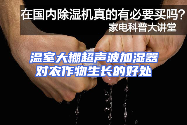 温室大棚超声波加湿器对农作物生长的好处