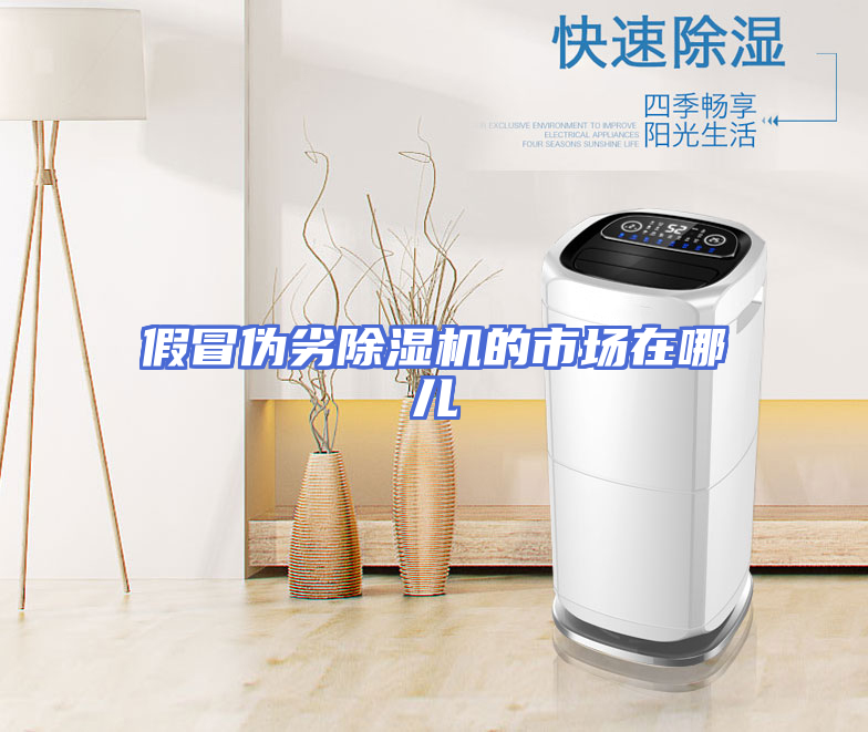 假冒伪劣除湿机的市场在哪儿