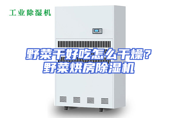 野菜干好吃怎么干燥？野菜烘房除湿机