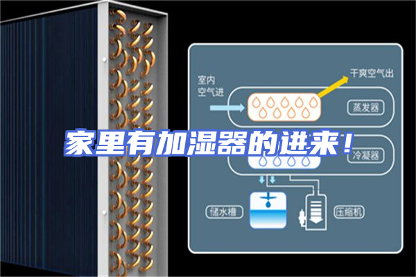 家里有加湿器的进来！