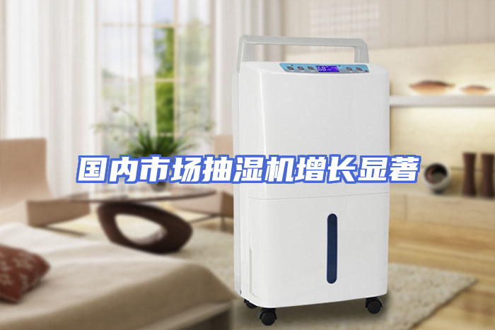 国内市场抽湿机增长显著