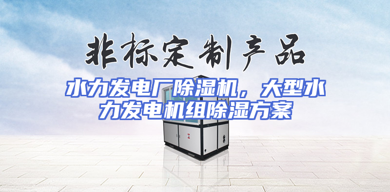 水力发电厂除湿机，大型水力发电机组除湿方案