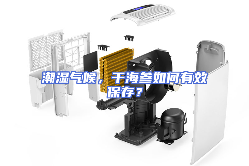 潮湿气候，干海参如何有效保存？