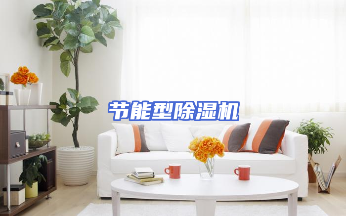 节能型除湿机