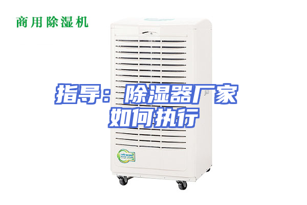 指导：除湿器厂家 如何执行