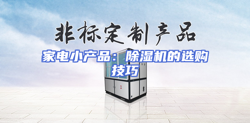 家电小产品：除湿机的选购技巧