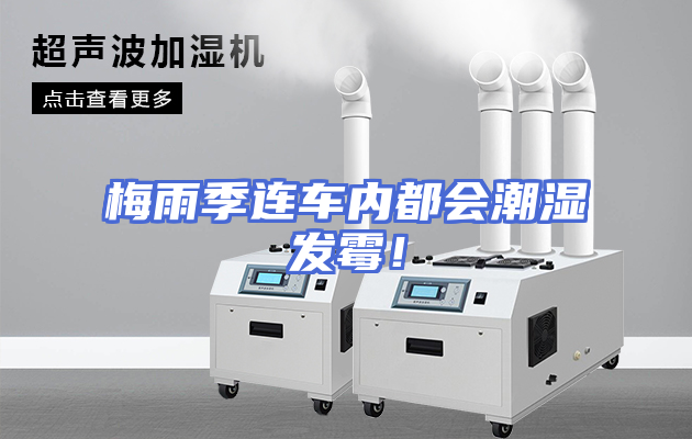 梅雨季连车内都会潮湿发霉！