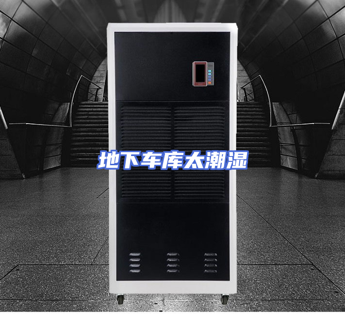 地下车库太潮湿