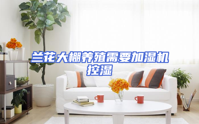 兰花大棚养殖需要加湿机控湿