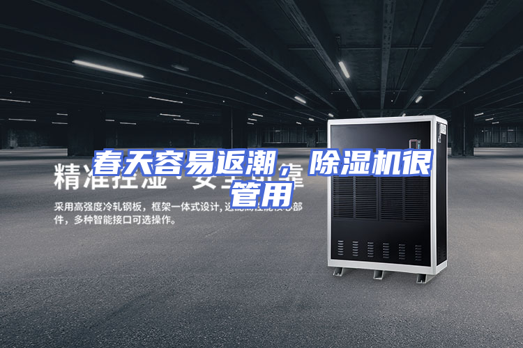 春天容易返潮，除湿机很管用