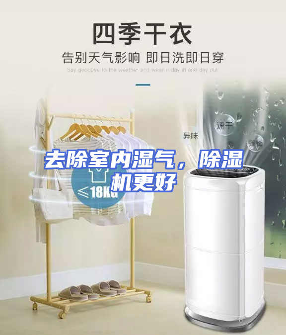 去除室内湿气，除湿机更好