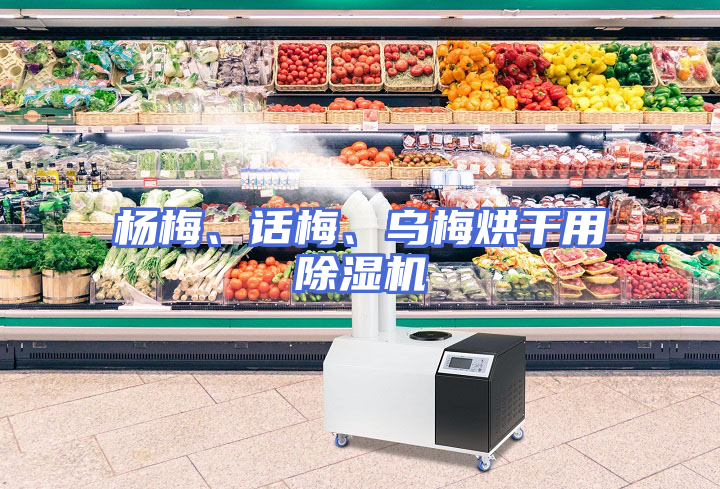 杨梅、话梅、乌梅烘干用除湿机