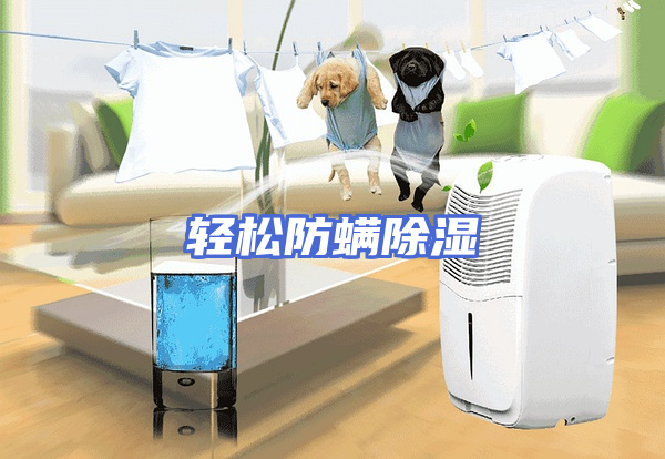 轻松防螨除湿