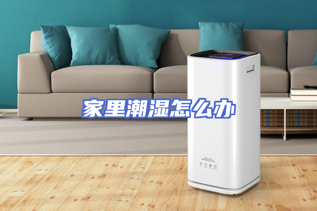 家里潮湿怎么办