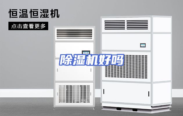 除湿机好吗