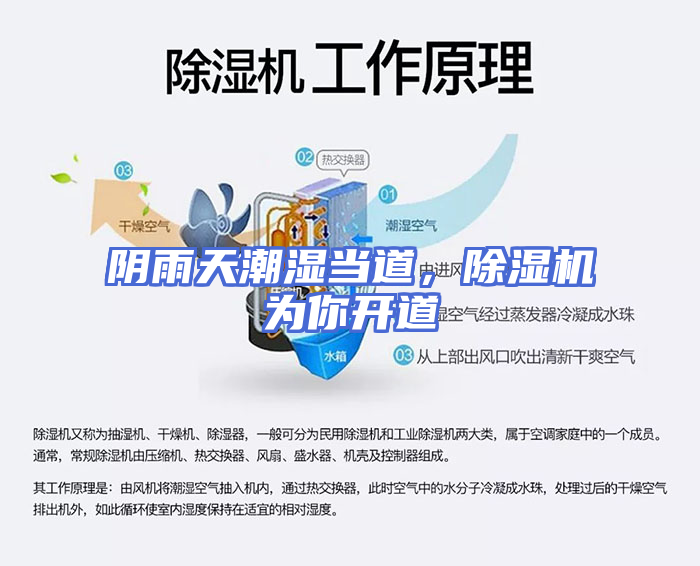 阴雨天潮湿当道，除湿机为你开道
