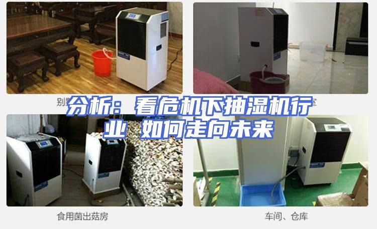 分析：看危机下抽湿机行业 如何走向未来