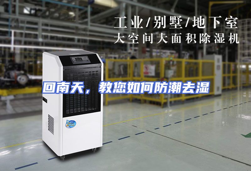 回南天，教您如何防潮去湿