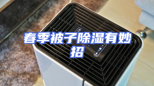春季被子除湿有妙招