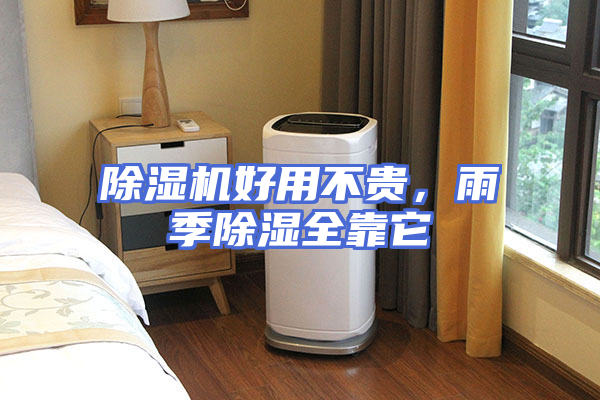 除湿机好用不贵，雨季除湿全靠它