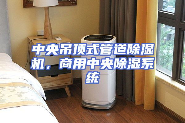 中央吊顶式管道除湿机，商用中央除湿系统