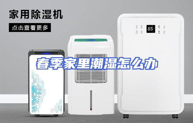 春季家里潮湿怎么办