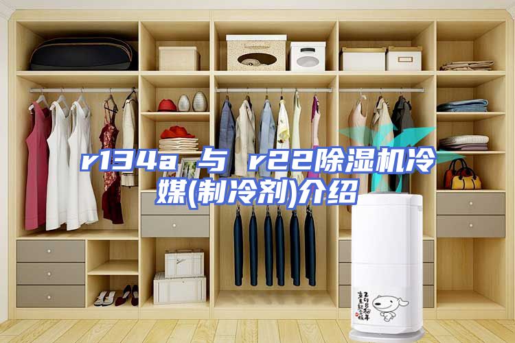r134a 与 r22除湿机冷媒(制冷剂)介绍