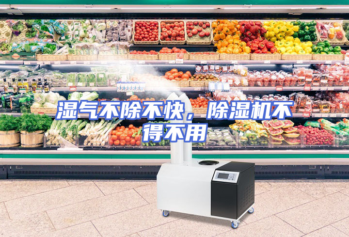 湿气不除不快，除湿机不得不用