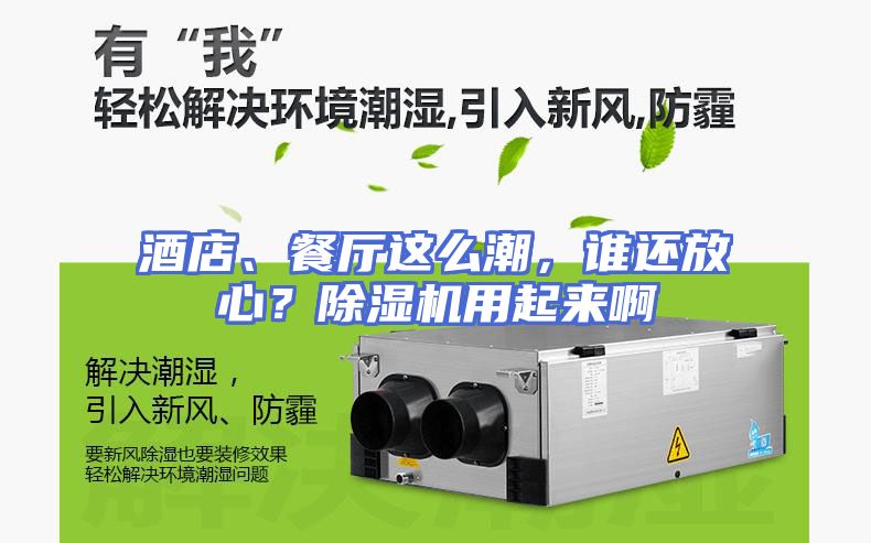 酒店、餐厅这么潮，谁还放心？除湿机用起来啊
