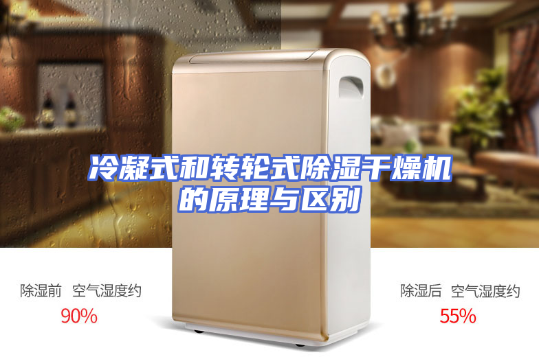 冷凝式和转轮式除湿干燥机的原理与区别