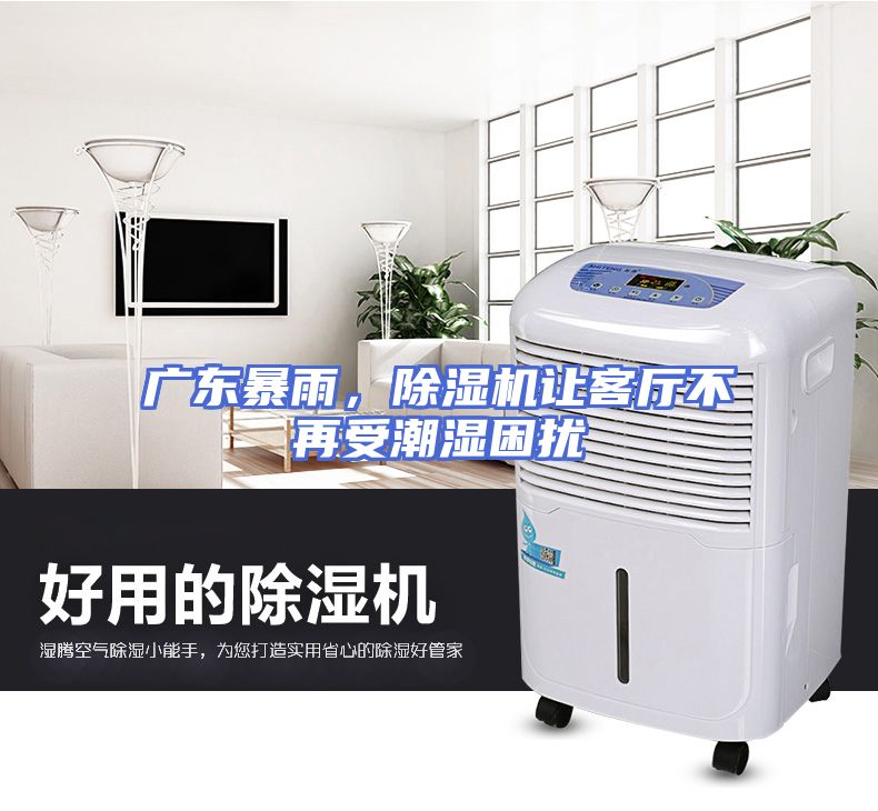 广东暴雨，除湿机让客厅不再受潮湿困扰