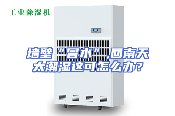 墙壁“冒水”,回南天太潮湿这可怎么办？