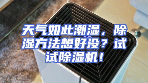 天气如此潮湿，除湿方法想好没？试试除湿机！