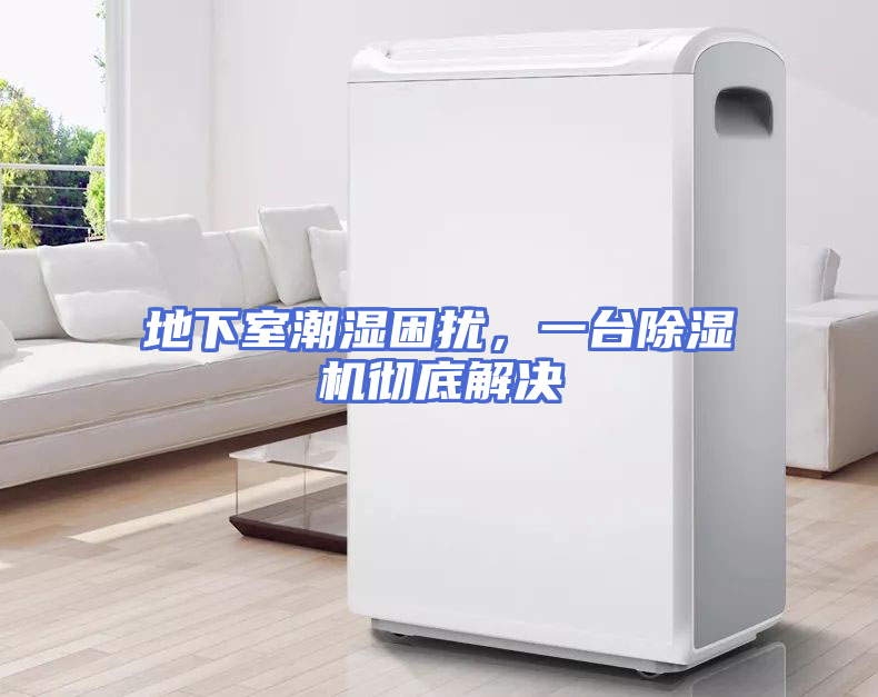 地下室潮湿困扰，一台除湿机彻底解决