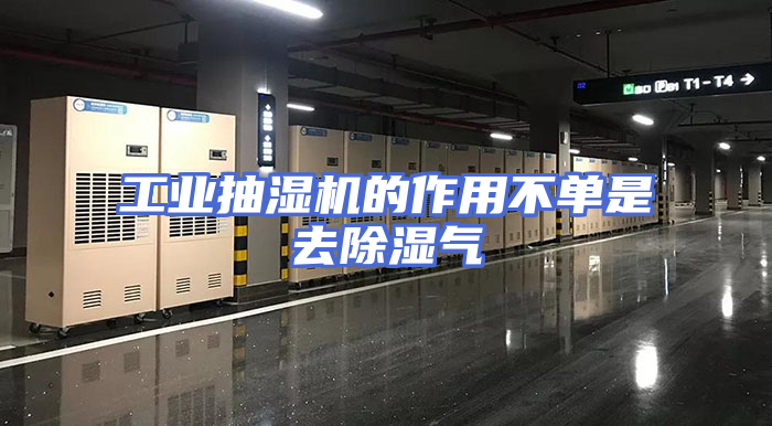 工业抽湿机的作用不单是去除湿气