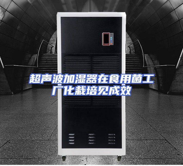超声波加湿器在食用菌工厂化栽培见成效